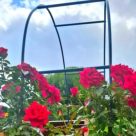 Casa Welcome Lägenhet