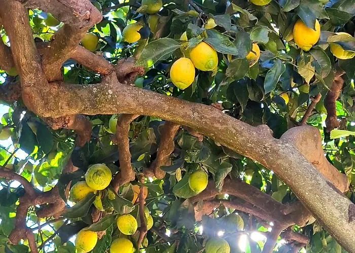 Casa Welcome * 세스트리레반떼