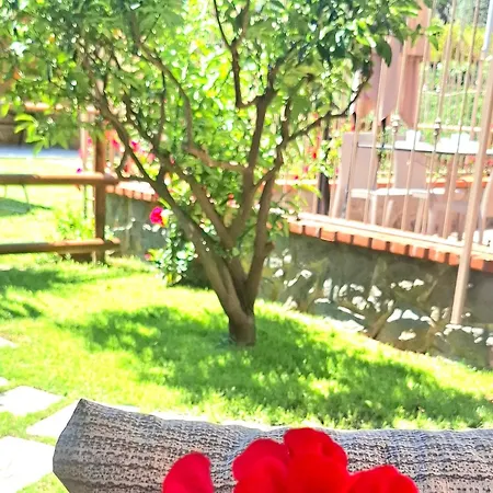Casa Welcome