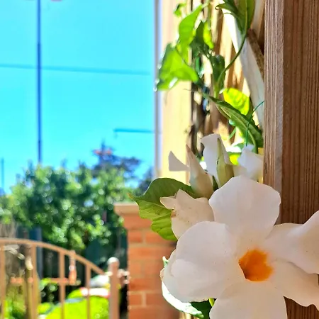 Casa Welcome Διαμέρισμα Σέστρι Λεβάντε